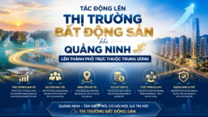 thị trường bất động sản quảng ninh